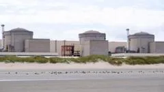 Jellyfish force partial shutdown of French nuclear plant