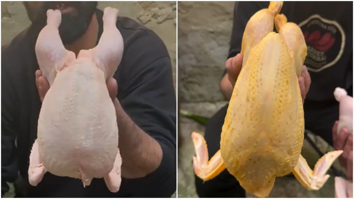 Cuál es la diferencia entre un pollo de piel blanca y otro de piel amarilla, según un experto ganadero: “Que no te engañen”