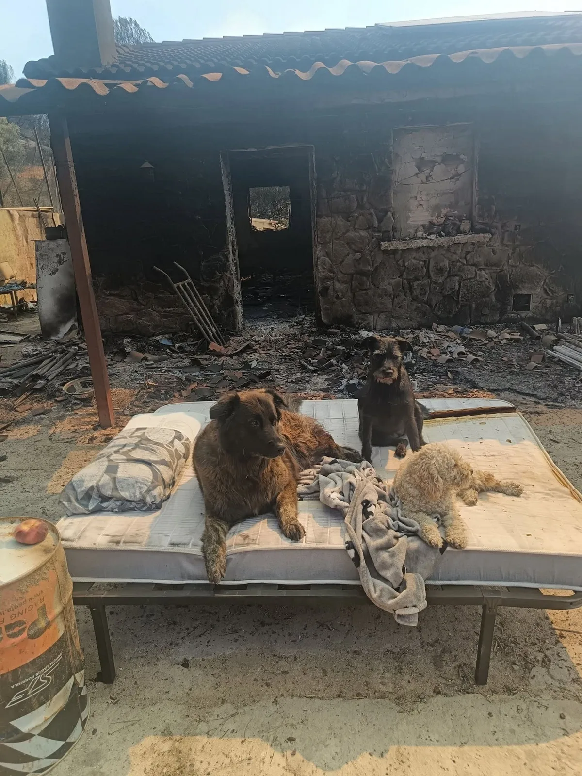 Abel, el programador que perdió su hogar en el incendio de la Sierra Oeste: "Se pierde un paraíso y una forma de vida"
