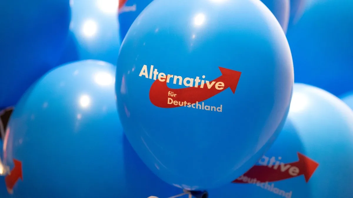 Einstufung als rechtsextrem: Brandenburgs Regierung verbietet AfD-Werbung an Schulen