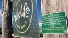 Wildlife park reopens after man killed by tiger