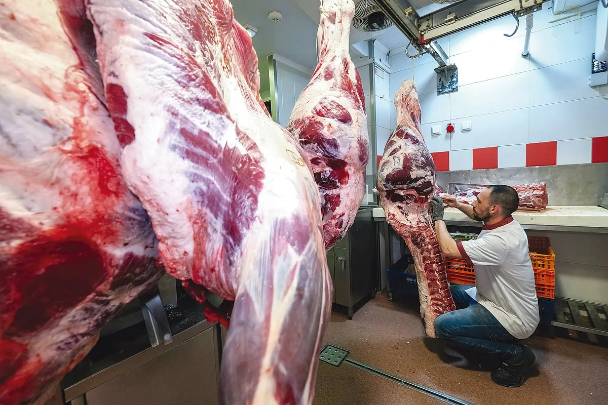 UE vai suspender compra de carnes do Brasil a partir de quinta-feira