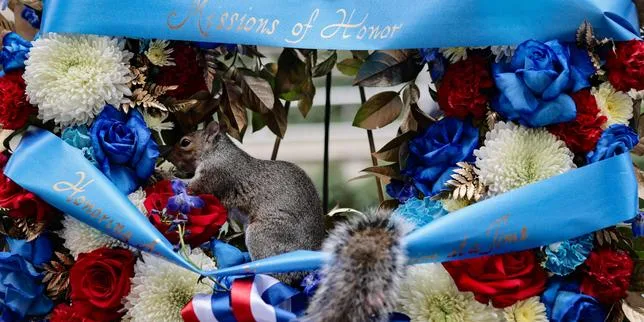 EN DIRECT, 25 ans du 11-Septembre : « Nous n’oublierons jamais, c’est pour ça que nous nous battons aujourd’hui », dit Donald Trump lors des commémorations au Pentagone