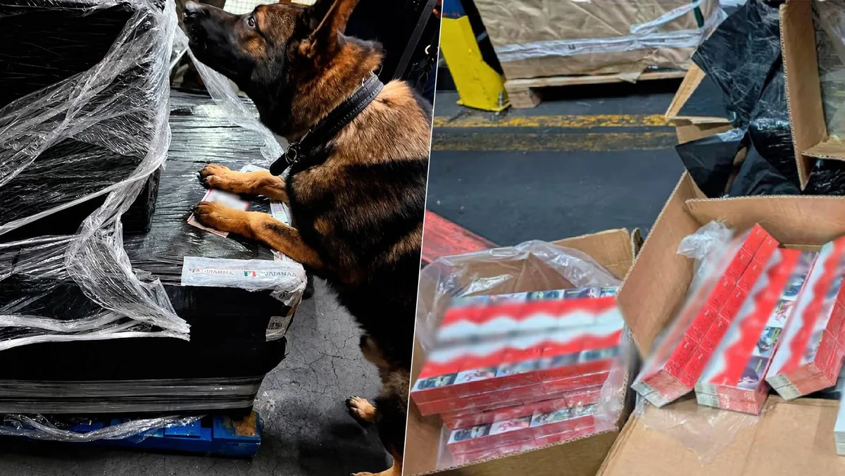 Decomisan 5 millones de cigarros ‘patito’ en el AICM; provenían de Sri Lanka y Singapur