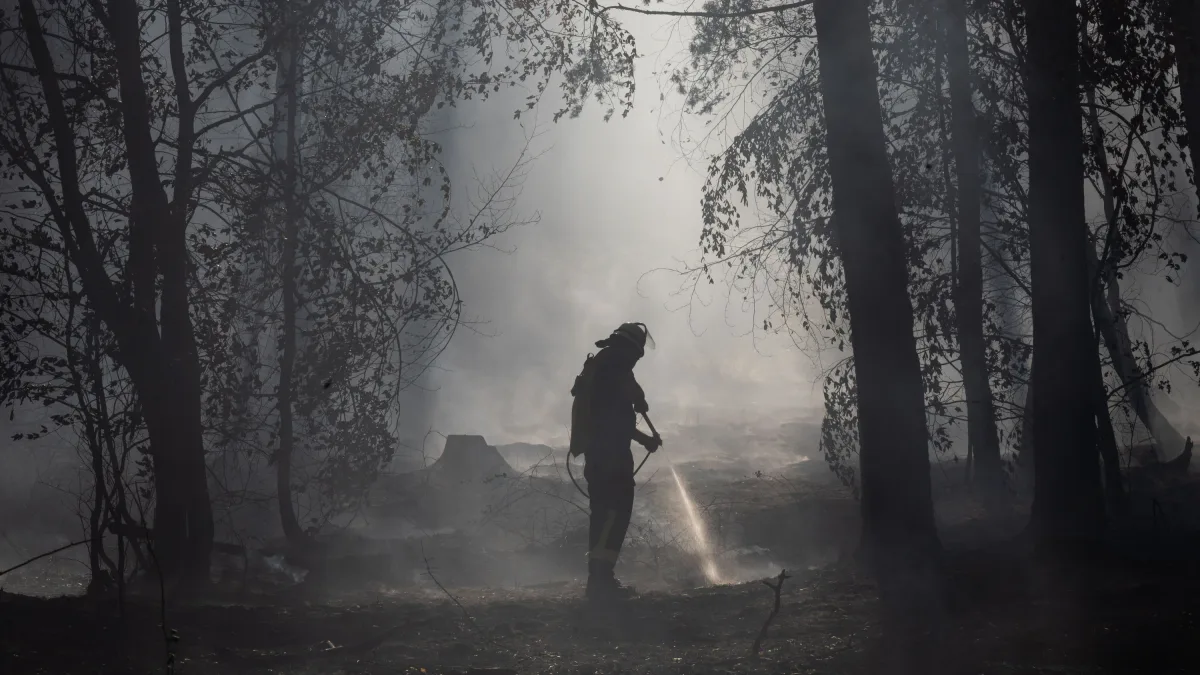 Waldbrände: Das Ehrenamt verdient Respekt
