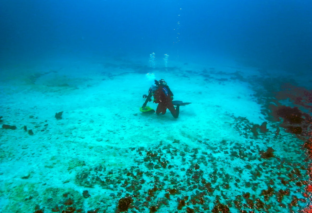 Muere un joven submarinista de 20 años en las costas de Tenerife mientras practicaba buceo a pulmón