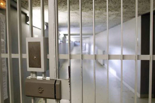 Surrey man receives lighter sentence due to nature of his takedown and arrest