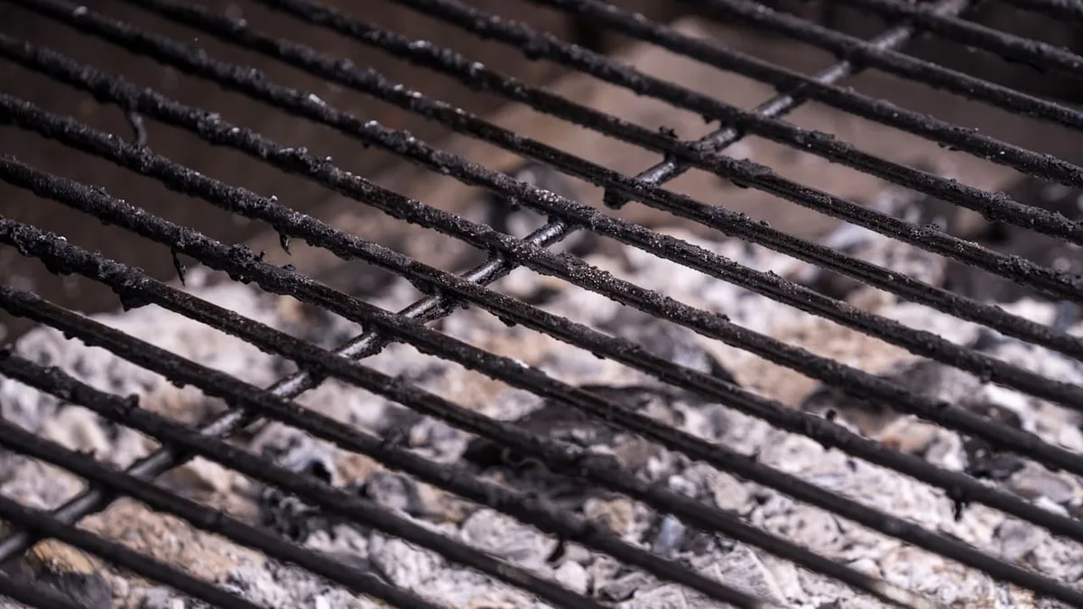 Expertin ordnet ein - Kann ein Eiswürfel den Grillrost reinigen?