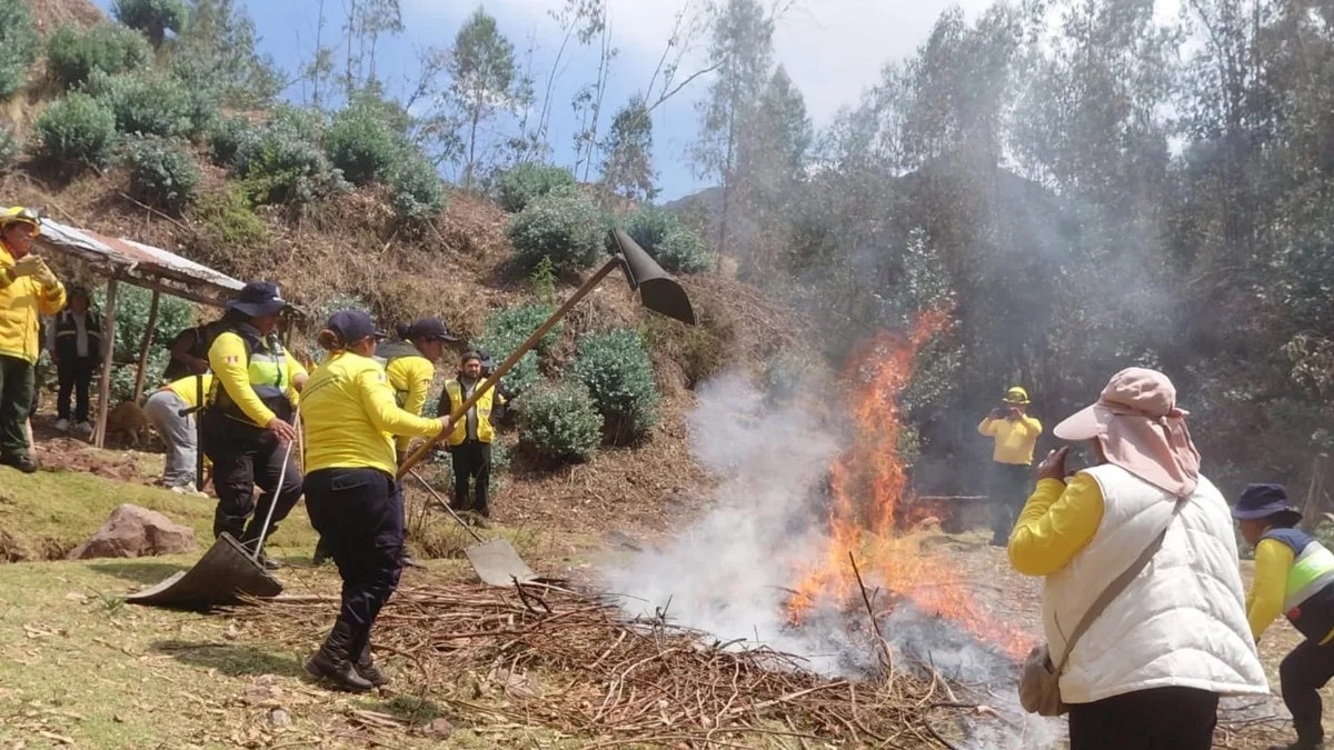 Más de 400 brigadistas se preparan ante los incendios forestales en Cusco: Serfor capacitará a personal de 26 distritos de la región