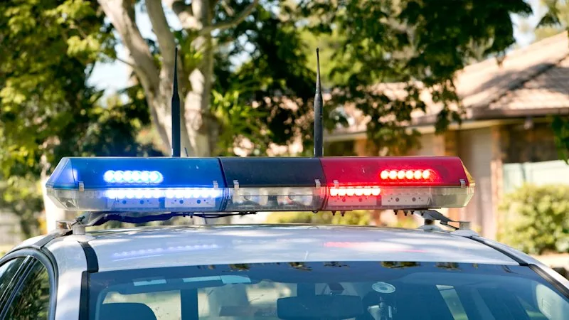 Man in critical condition after being mauled by two dogs in Brisbane park