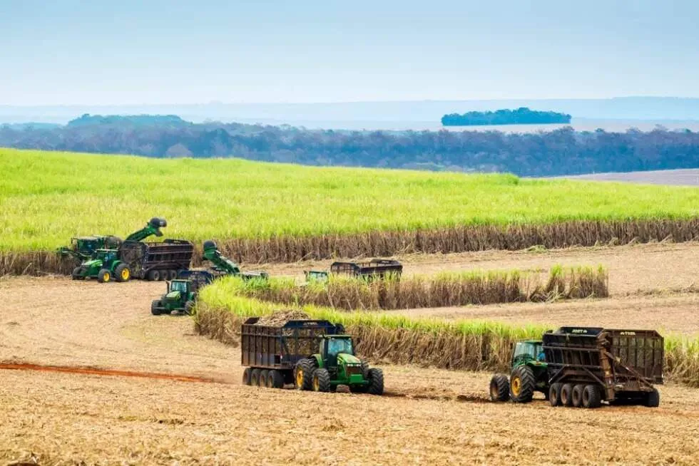 MS cresce na produção de cana e coloca Nova Alvorada do Sul no 2º lugar nacional