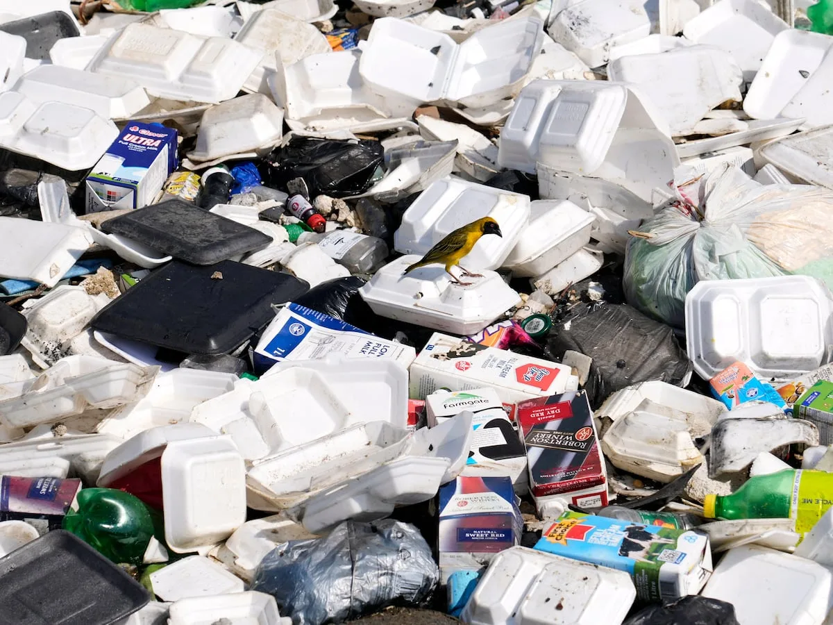 Africa’s burgeoning urban waste crisis outpaces infrastructure investment