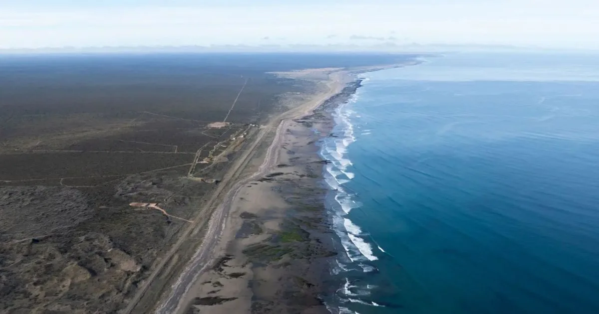Tiburones en Río Negro: el monitoreo en el Golfo San Matías ya identificó cinco especies amenazadas