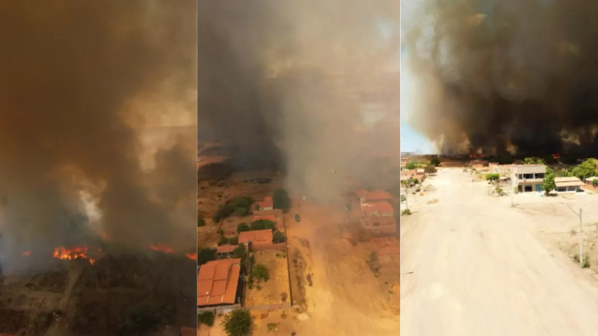 VÍDEO: Incêndio em área de vegetação ameaça casas em cidade no Piauí