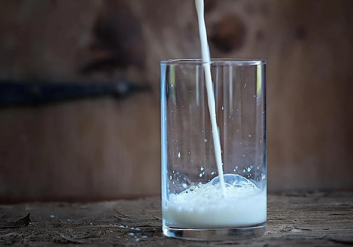 Una nutricionista explica cómo afecta al sueño tomar un vaso de leche antes de dormir: «Hay estudios que lo avalan»