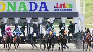 Toma nota: En la primera válida corre la yegua que es la imperdible de toda Venezuela
