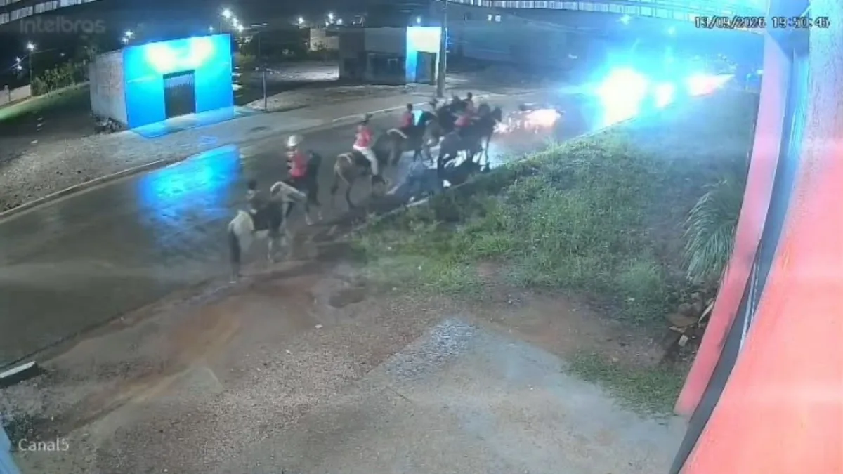 VÍDEO: Motociclista morre após bater em cavalo e ser atropelado por carro em Porto Velho