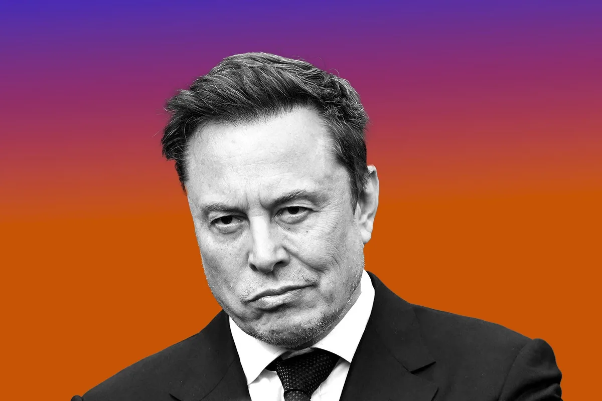 The Making of Elon Musk