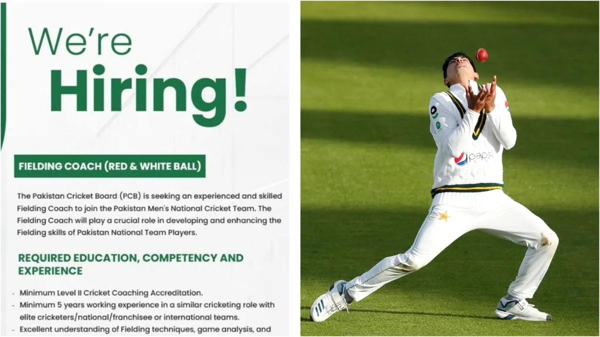 We are hiring: Pakistan posts coach vacancy on LinkedIn, gets hilarious replies