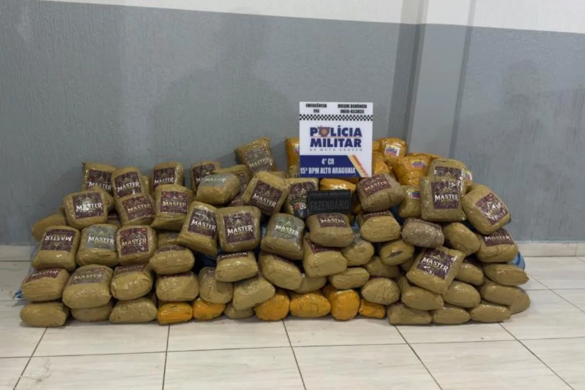 Caminhoneiro é preso em MT ao transportar 202 kg de skunk em carga de milho