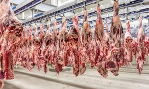 Cota de exportação de carne bovina para China em 2027 pode ser cumprida até abril