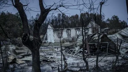Le coût des grands incendies de cet été en Gironde, dans les Landes et dans le Var évalué à un demi-milliard d'euros par France Assureurs
