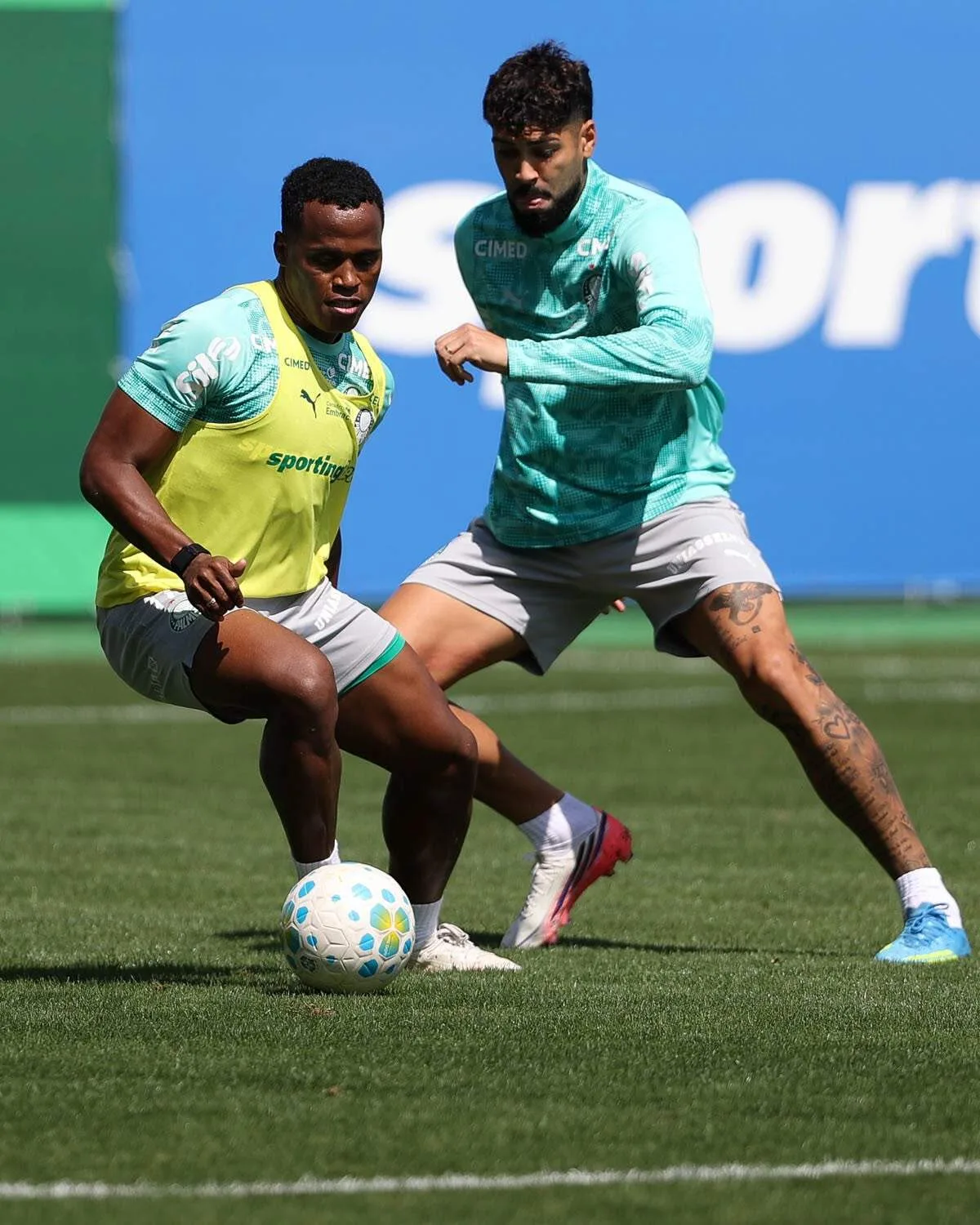 Domingo de Brasileirão tem líder Palmeiras em campo e duelo direto contra o Z-4
