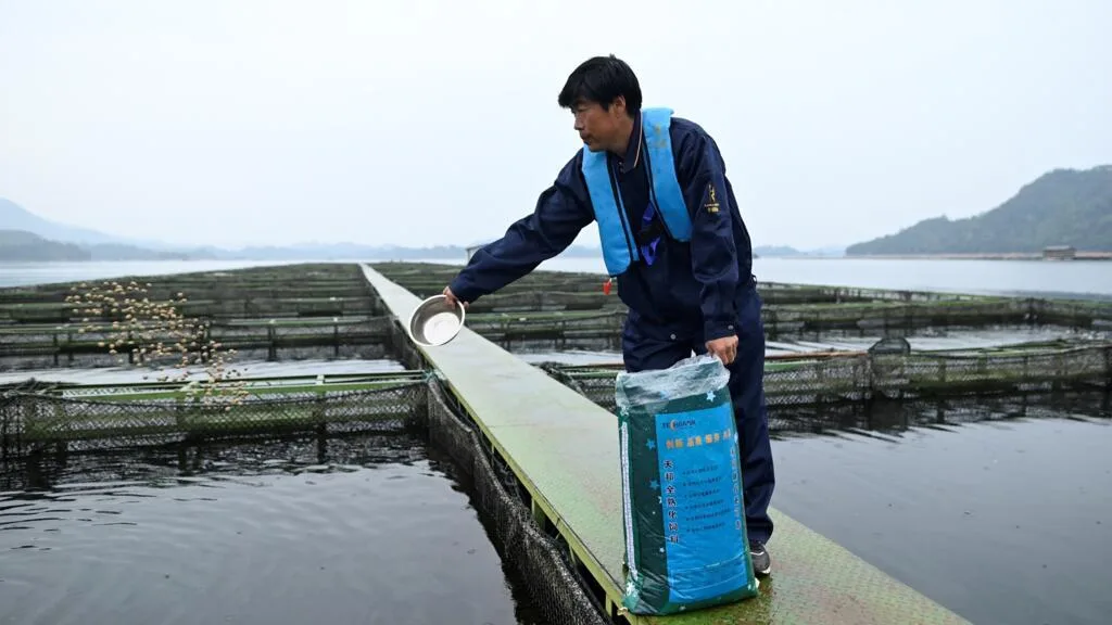 La Chine, premier producteur mondial de caviar