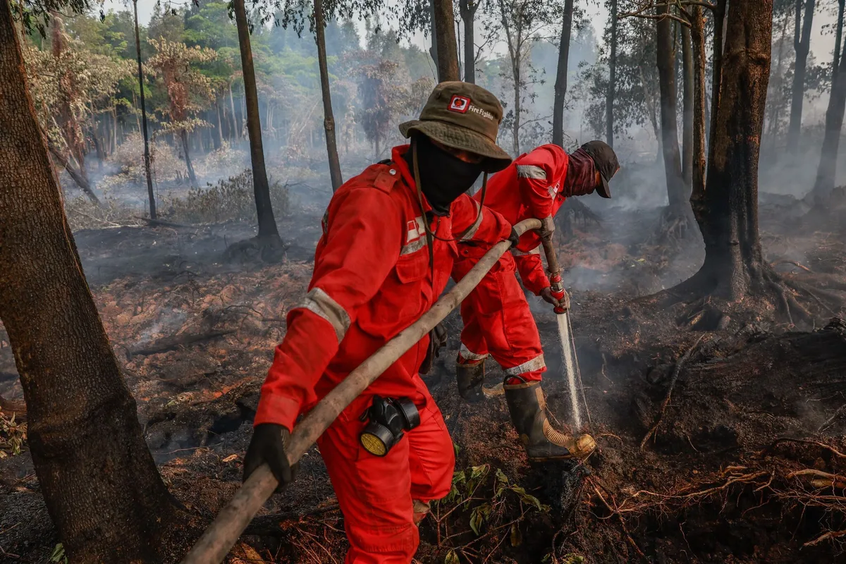 El Nino, réchauffement, brûlis… L’Indonésie en proie à des incendies monstres