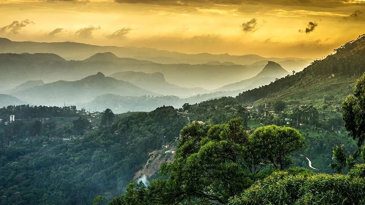 Saving the Western Ghats | In Focus Podcast