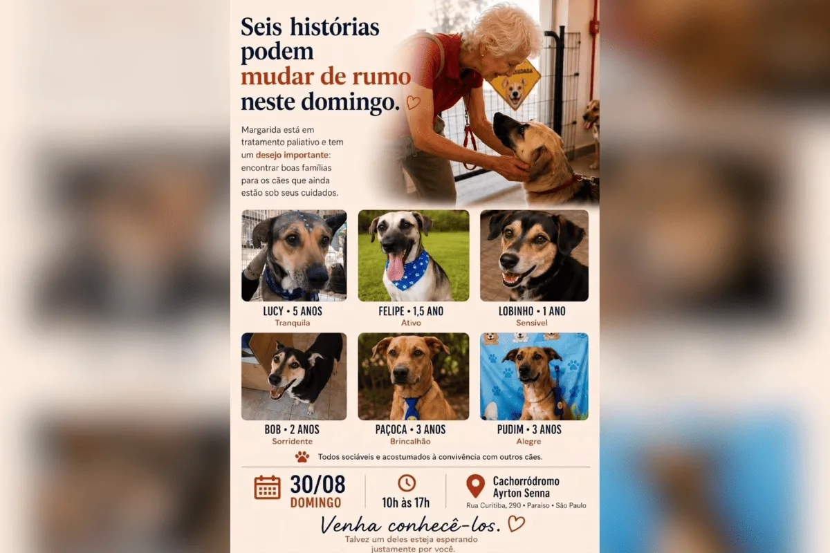 Quem vai cuidar deles? Evento busca adoção de cães de paciente terminal