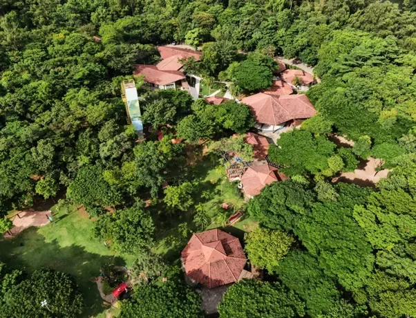 Dia das Crianças tem noite de astronomia, baile infantil e tubarões em parques da Vale