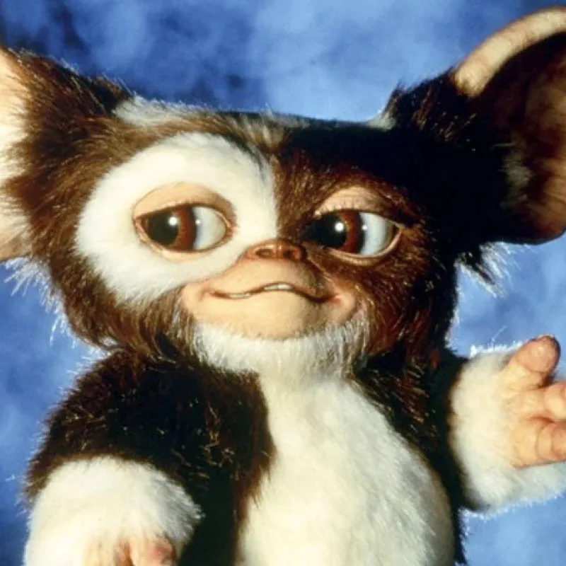 Actualité : Gremlins 3 : un premier teaser avec Gizmo, mais une sortie repoussée d'un an