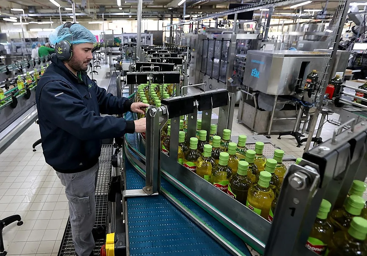 Deoleo, el gigante aceitero de Córdoba, en venta y con una oferta de Dcoop de 470 millones