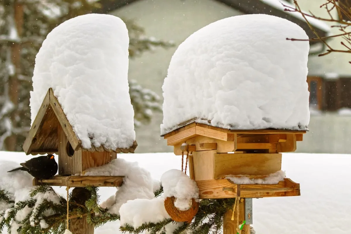 I want to be a snowbird, but I’m not sure my $2 million nest egg can sustain two homes