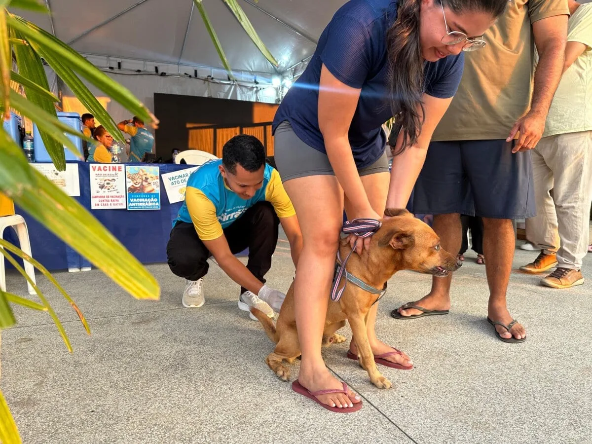 Campanha de Vacinação Antirrábica ocorre durante o Festival da Farinha