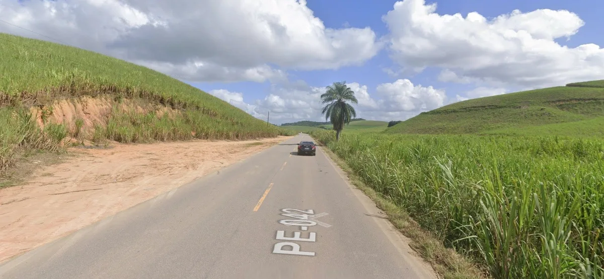 Polícia encontra dois corpos carbonizados em área de mata em Ipojuca