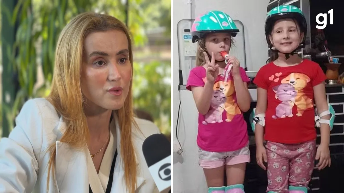 'Os dois anos mais desafiadores da nossa vida', diz tia de gêmeas mortas no RS; mãe é ré pelo crime
