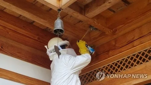 부산 송도 해상케이블카 인근서 벌 쏘임 사고…14명 부상