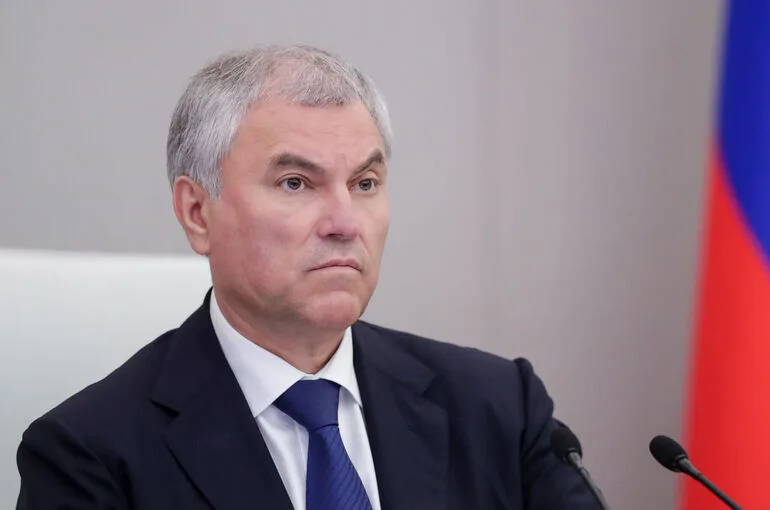 Володин: Госдума с 2024 года приняла 32 закона в сфере миграционной политики
