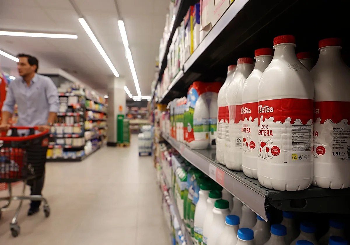 Cada andaluz gastó un 6,2% más en alimentos en 2025, hasta casi 1.700 euros