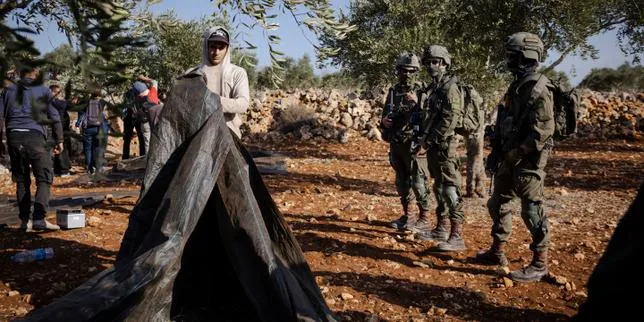 « Un tsunami de terrorisme juif » : en Cisjordanie occupée, derrière la violence des colons pendant la récolte des olives, une opération de nettoyage ethnique à grande échelle