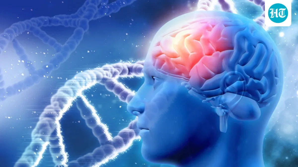 Smoking and drinking may age your brain faster: Neurologist explains how