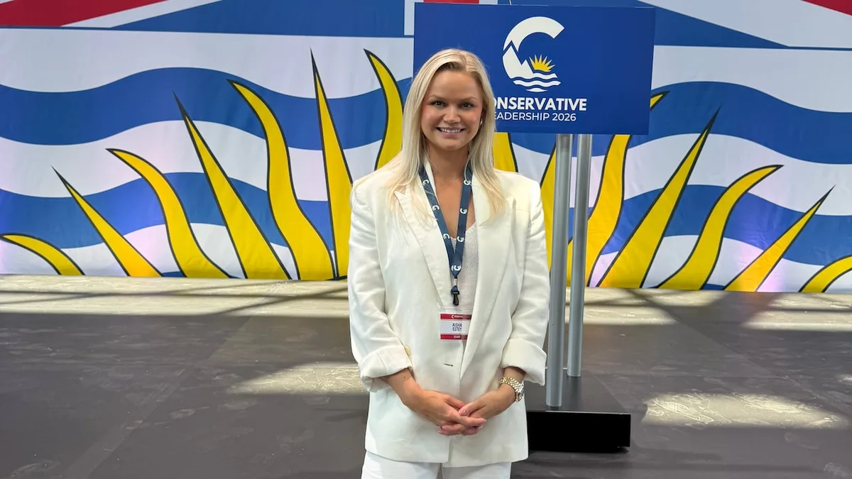 Ex-B.C. Conservative MLAs and party president say a private investigator was hired to look into them