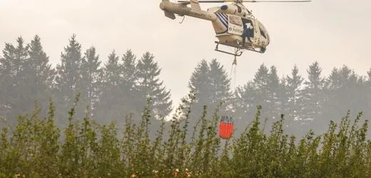 Belgien: Waldbrand laut Behörden weitgehend unter Kontrolle