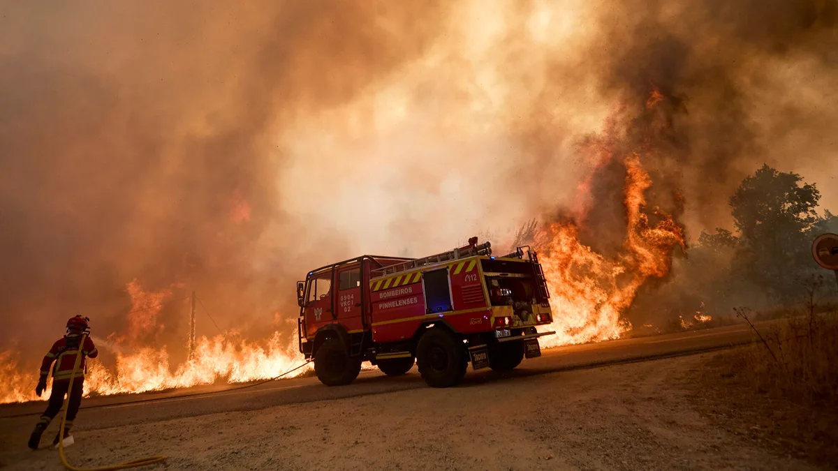 Proteção Civil admite que não consegue calcular quanto custa cada grande incêndio