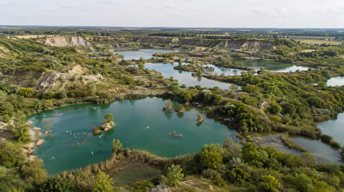 Una mina de 300 hectáreas quedó abandonada en 2010: 16 años después es un oasis natural con más de 200 especies