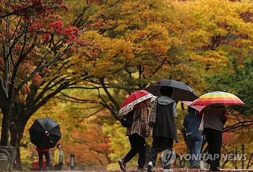 대구·경북 흐리고 비…예상 강수량 10∼60㎜