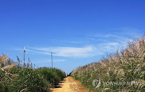 [날씨] 맑고 일교차 큰 월요일…일부 내륙 15도 이상 벌어져