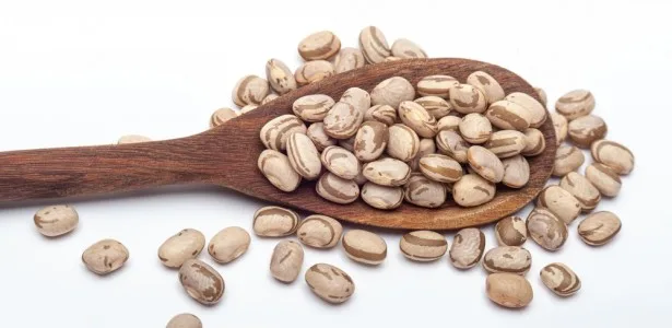 Pesquisadores transformam grãos quebrados de feijão em ingrediente proteico de alto valor